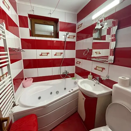Apartament Vis A Vis De City Park Mall 公寓 康斯坦察